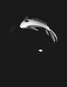 tumblr_mmg3g1dXN11so5iqko1_500